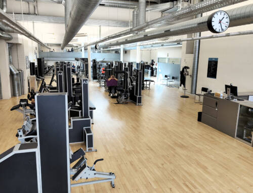 ¿Qué dicen de nosotros?